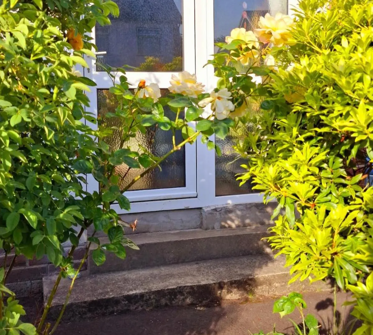 Beautiful Home With Garden Great Location Belfast 0*,